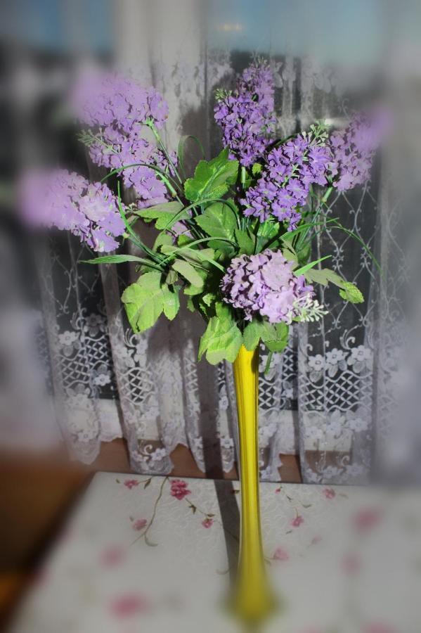 Pati Apartament Slonko 维斯拉 外观 照片