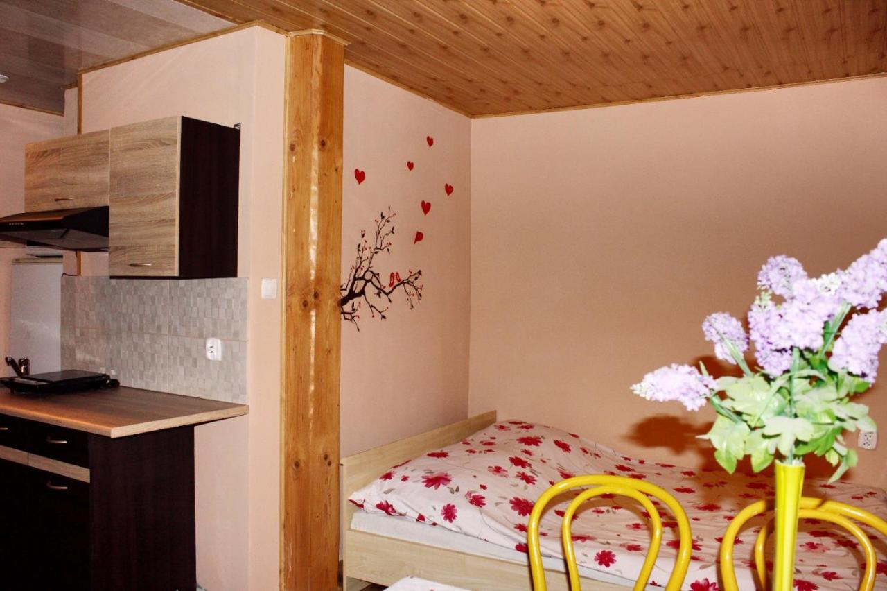 Pati Apartament Slonko 维斯拉 外观 照片